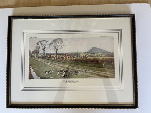 Vintage cecil aldin - vintage,