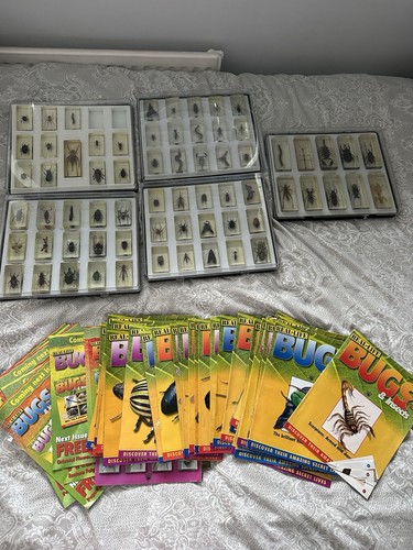 Real life bugs and - real,