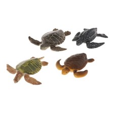 Realistic Sea Animal Turtles