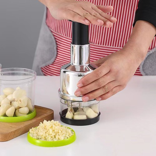 Stainless steel garlic press - steel,