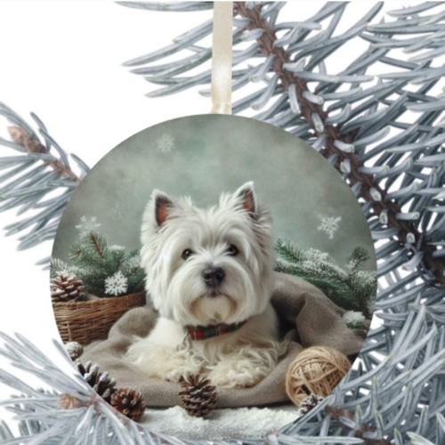 Westie dog hanging - dog,