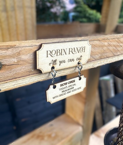Bespoke bird table - bird,