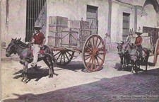 Mexico City, MEXICO - Handling