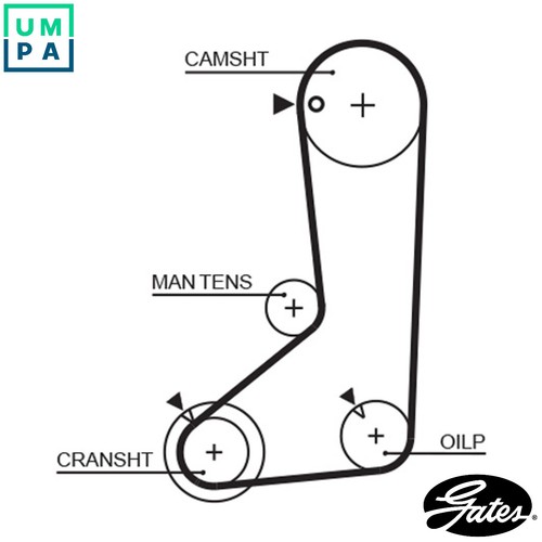 Timing belt 5254xs - timing,