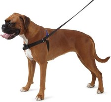 Ancol/Pure Dog Listeners -