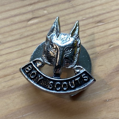Vintage boy scouts lapel - boy,