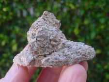 DOLOMITE growing on a CALCITE