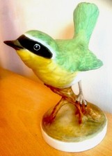 Yellow Throat Warbler DORIS