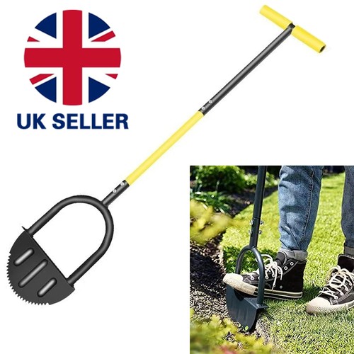 Grass lawn edge border - grass, edging