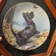 Danbury Mint Collecter