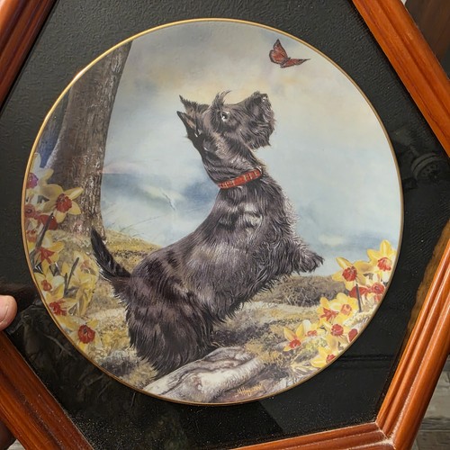 Danbury mint collecter - danbury,