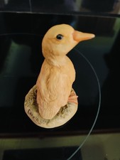 Two Little Ducks And A Ladro