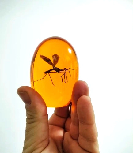 Jurassic park mosquito - park,