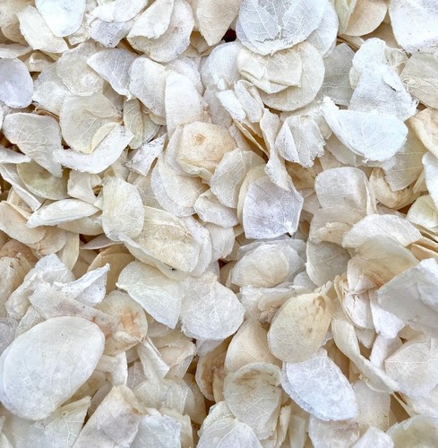 Biodegradable wedding confetti - wedding,