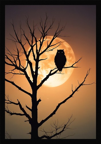 Soft owl framed wall art - soft,