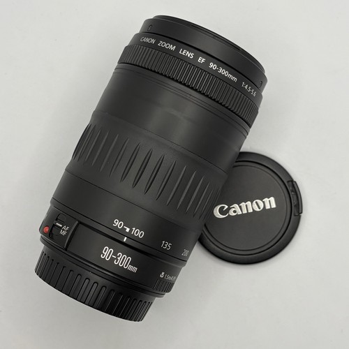 Canon 300mm 5 - ef, f/4.5-5.6