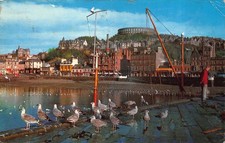 The Harbour Oban Scotland