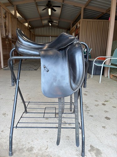 Price reduced amerigo - reduced!,