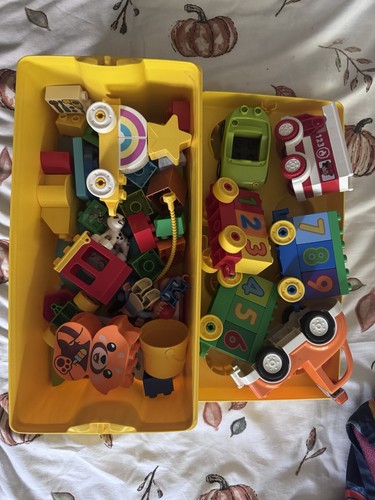 Large mixed box duplo - mixed,