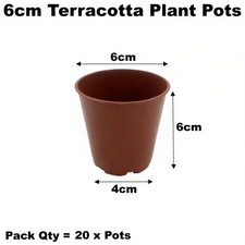 6cm plant pots - pots, plastic