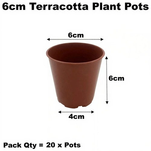 6cm plant pots - 6cm,