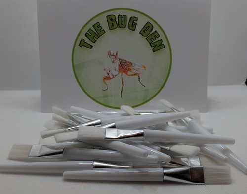 Jumping spider brush - ., soft