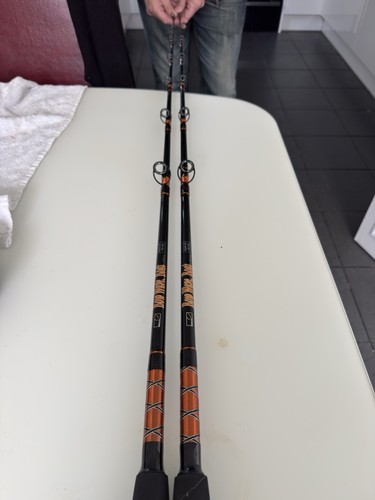 Sea fishing rod - sea,
