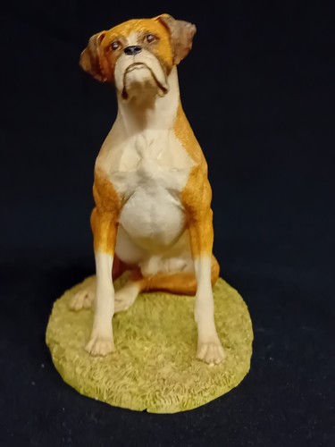 Country artists boxer - country, dog'