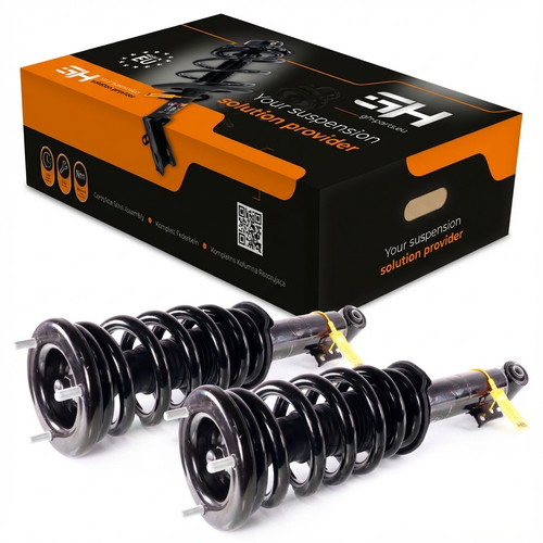 Complete struts assembly - struts,