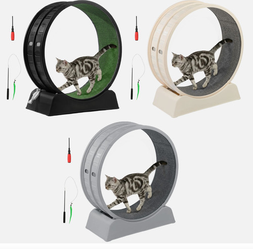 Cat exercise wheel large - cat,
