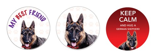 German shepherd dog - shepherd, car