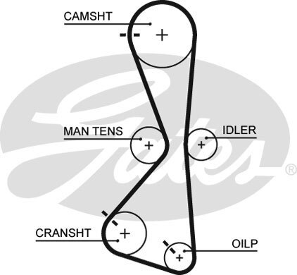 Gates 5609xs timing - belt, for