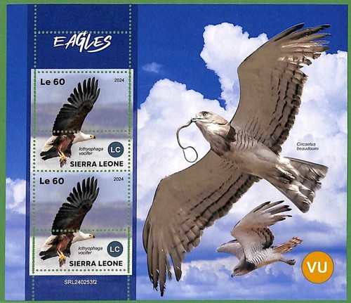 B2620 sierra leone error - b2620,