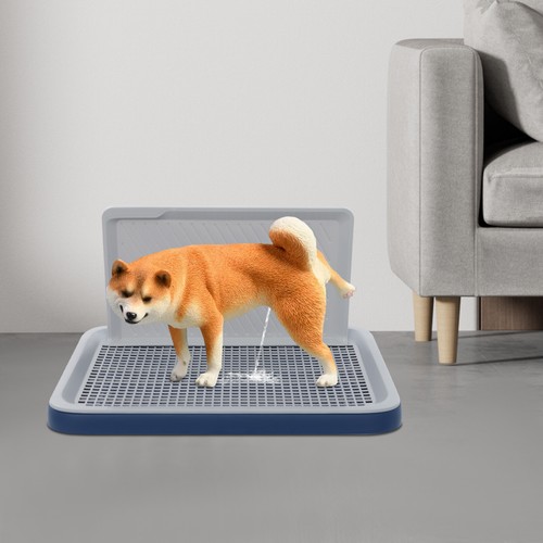 Pet dog toilet - toilet, indoor