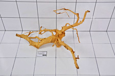 Premium aquarium natural red - aquarium,