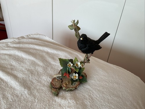 Country artists blackbird - artists, with