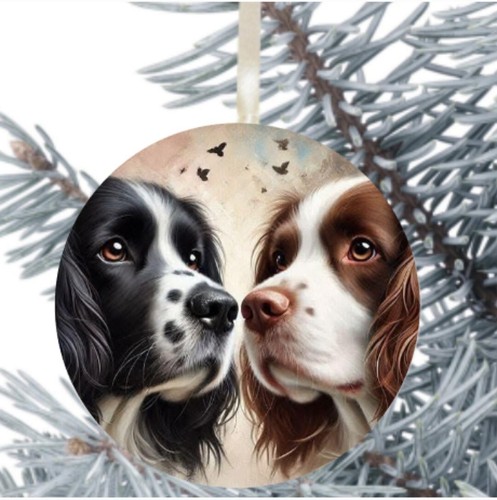 Cocker springer spaniel - springer, dog