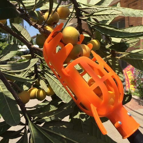 Fruit picker tool garden - picker,