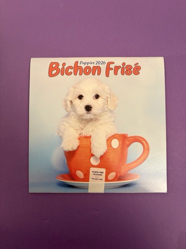 Bichon frise puppies 2026 - frise,