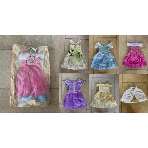 Disney enchanting princess - |,