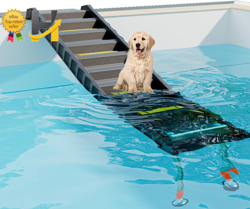 Foldable dog pool - foldable,