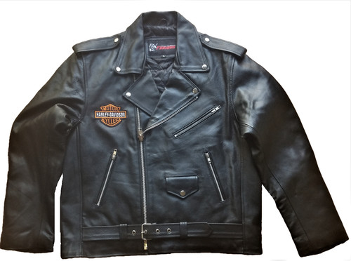 Motorcycle harley davidson - motorcycle, harley-davidson