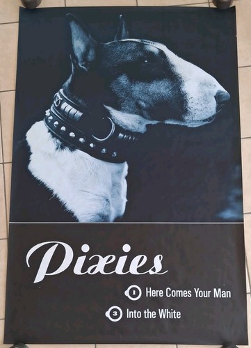 Pixies here comes your - your, man