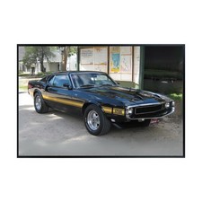Shelby gt500 classic muscle - shelby,