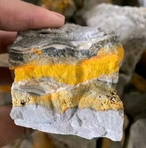 Bumblebee jasper rough - bumblebee,