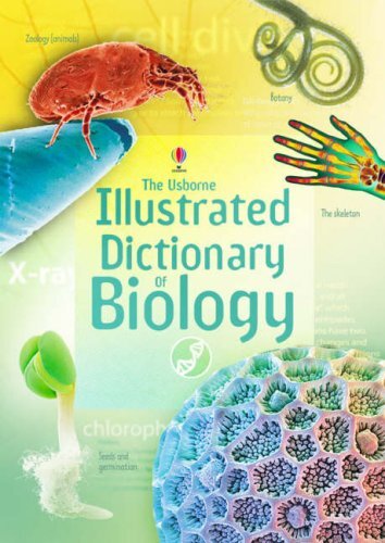 Illustrated dictionary - dictionary, of