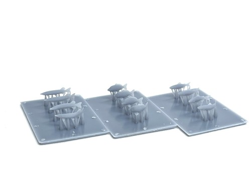 12x fresh water fish - fresh,