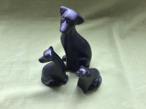 Three black dog - three,