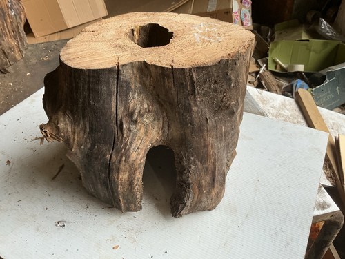 Hollow log decorative - hollow, log,decorative