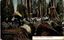 Washington Timber Postcard